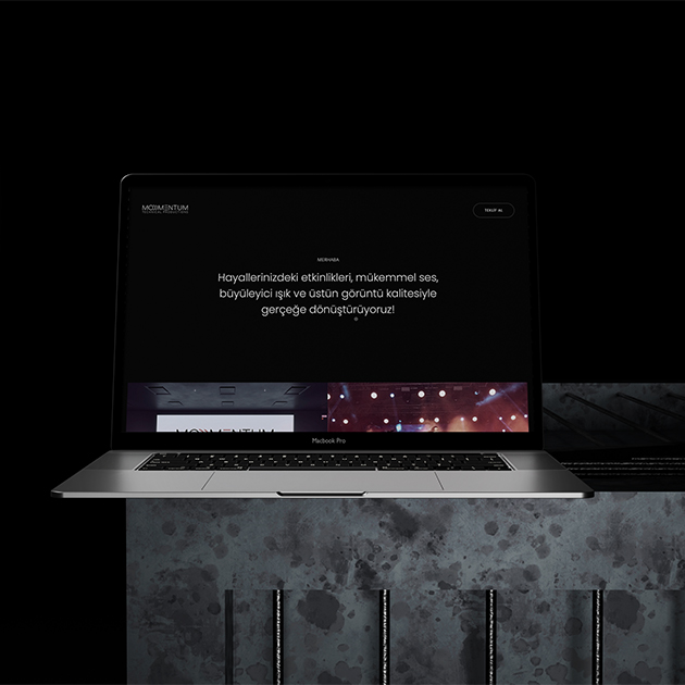 Momentum Teknik web sitesi projesi